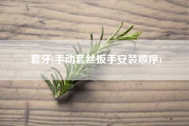 套牙(手动套丝扳手安装顺序)