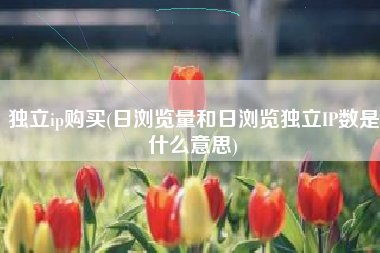 独立ip购买(日浏览量和日浏览独立IP数是什么意思)