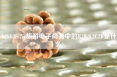 b2bb2cc2c(旅游电子商务中的B2B2C2C2B是什么)