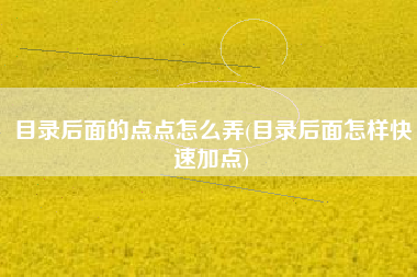 目录后面的点点怎么弄(目录后面怎样快速加点)