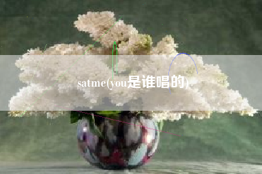satme(you是谁唱的)