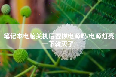 笔记本电脑关机后要拔电源吗(电源灯亮一下就灭了)
