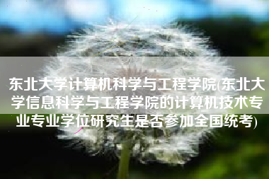 东北大学计算机科学与工程学院(东北大学信息科学与工程学院的计算机技术专业专业学位研究生是否参加全国统考)