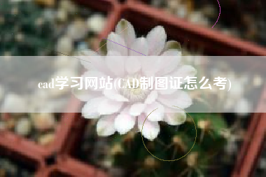 cad学习网站(CAD制图证怎么考)