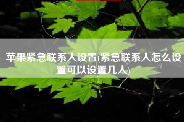 苹果紧急联系人设置(紧急联系人怎么设置可以设置几人)