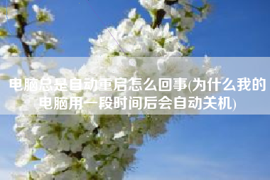 电脑总是自动重启怎么回事(为什么我的电脑用一段时间后会自动关机)