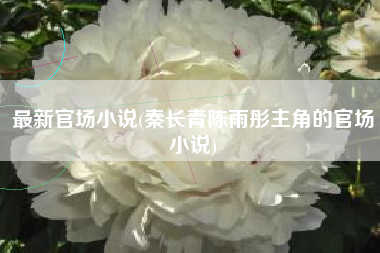 最新官场小说(秦长青陈雨彤主角的官场小说)