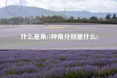 什么是角(5种角分别是什么)