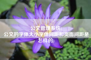 公文管理系统(
公文的字体大小字体间距和页面间距是怎样的) 公文管理系统(
公文的字体大小字体间距和页面间距是怎样的)