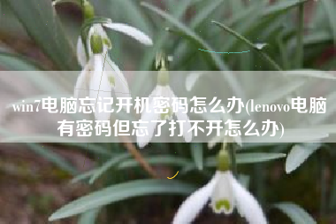 win7电脑忘记开机密码怎么办(lenovo电脑有密码但忘了打不开怎么办)