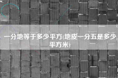 一分地等于多少平方(地皮一分五是多少平方米)