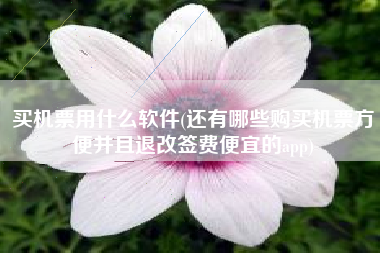 买机票用什么软件(还有哪些购买机票方便并且退改签费便宜的app)