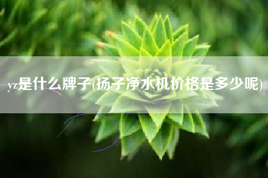 yz是什么牌子(扬子净水机价格是多少呢)