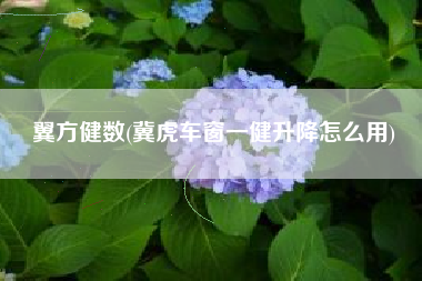 翼方健数(冀虎车窗一健升降怎么用)
