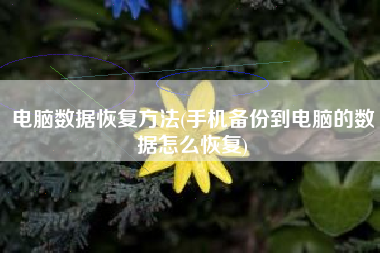 电脑数据恢复方法(手机备份到电脑的数据怎么恢复)