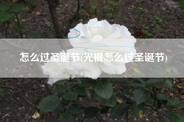 怎么过圣诞节(光棍怎么过圣诞节)