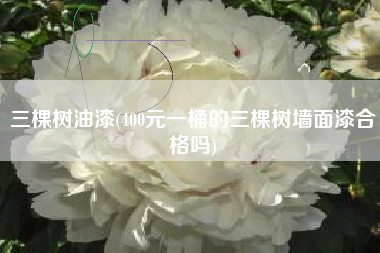 三棵树油漆(400元一桶的三棵树墙面漆合格吗)