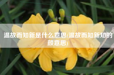 温故而知新是什么意思(温故而知新知的颜意思)