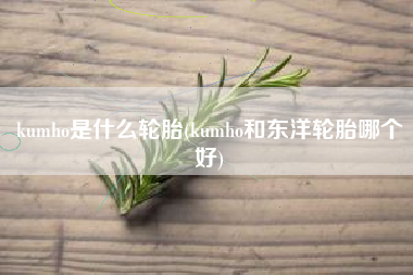 kumho是什么轮胎(kumho和东洋轮胎哪个好)