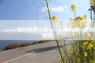 unicode编码转换工具(unicode编码是16进制的吗)