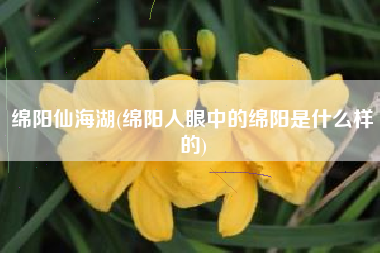 绵阳仙海湖(绵阳人眼中的绵阳是什么样的)