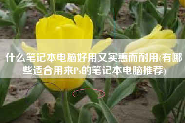 什么笔记本电脑好用又实惠而耐用(有哪些适合用来Ps的笔记本电脑推荐)
