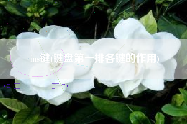 ins键(键盘第一排各键的作用)