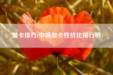 显卡排行(中端显卡性价比排行榜)