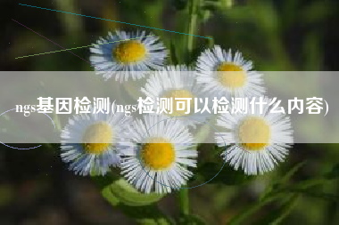 详细阅读:ngs基因检测(ngs检测可以检测什么内容) ngs基因检测(ngs检测可以检测什么内容)