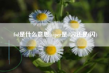 fsd是什么意思(viper是d闪还是f闪)