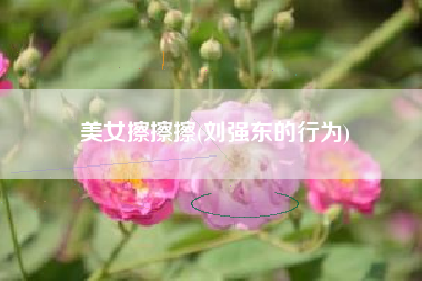 美女擦擦擦(刘强东的行为)