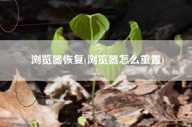 浏览器恢复(浏览器怎么重置)