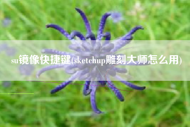su镜像快捷键(sketchup雕刻大师怎么用)