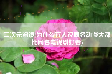 二次元滤镜(为什么有人说同名动漫大都比同名电视剧好看)