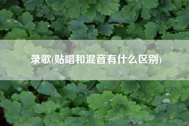 录歌(贴唱和混音有什么区别)