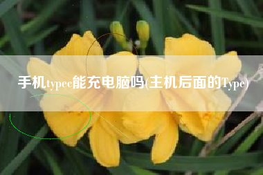 手机typec能充电脑吗(主机后面的Type)
