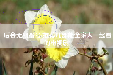 后会无期番号(推荐几部能全家人一起看的电视剧)
