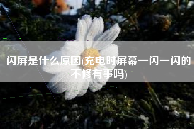 闪屏是什么原因(充电时屏幕一闪一闪的不修有事吗)
