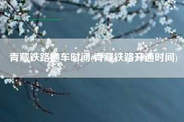 青藏铁路通车时间(青藏铁路开通时间)