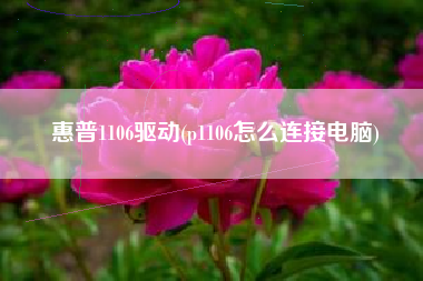 惠普1106驱动(p1106怎么连接电脑)