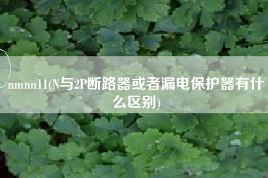 nmnn11(N与2P断路器或者漏电保护器有什么区别)