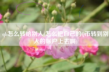 qb怎么转给别人(怎么把自己的Q币转到别人的帐户上去啊)