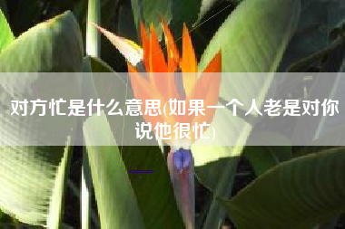 对方忙是什么意思(如果一个人老是对你说他很忙)