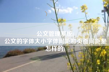 公文管理系统(
公文的字体大小字体间距和页面间距是怎样的) 公文管理系统(
公文的字体大小字体间距和页面间距是怎样的)
