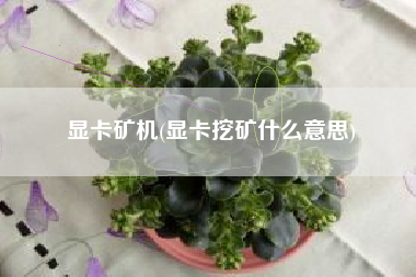 显卡矿机(显卡挖矿什么意思)