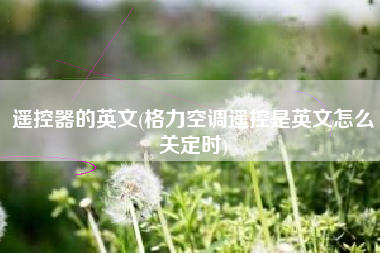 遥控器的英文(格力空调遥控是英文怎么关定时)