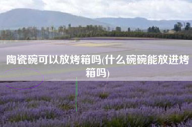 陶瓷碗可以放烤箱吗(什么碗碗能放进烤箱吗)