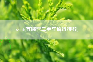 xsmt(有哪些二手车值得推荐)