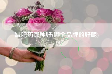 减肥药哪种好(哪个品牌的好呢)