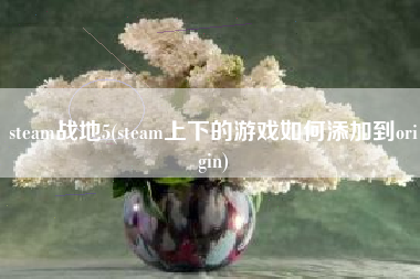 steam战地5(steam上下的游戏如何添加到origin)